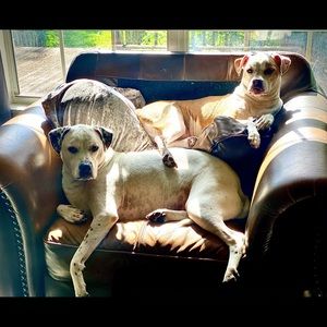 Meet your Posher, Robert